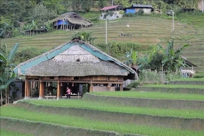 Ngôi nhà mái rêu nép mình bên những thửa ruộng bậc thang xanh ngắt, tạo nên bức tranh bình yên, thơ mộng của bản làng Xà Phìn