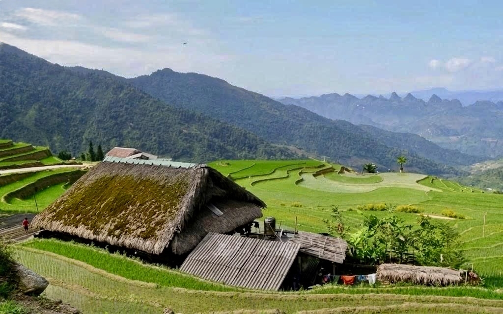 Những ngôi nhà mái cọ phủ rêu xanh tạo nên nét đẹp độc đáo, thu hút du khách đến tham quan, khám phá bản làng Xà Phìn dưới chân dãy Tây Côn Lĩnh