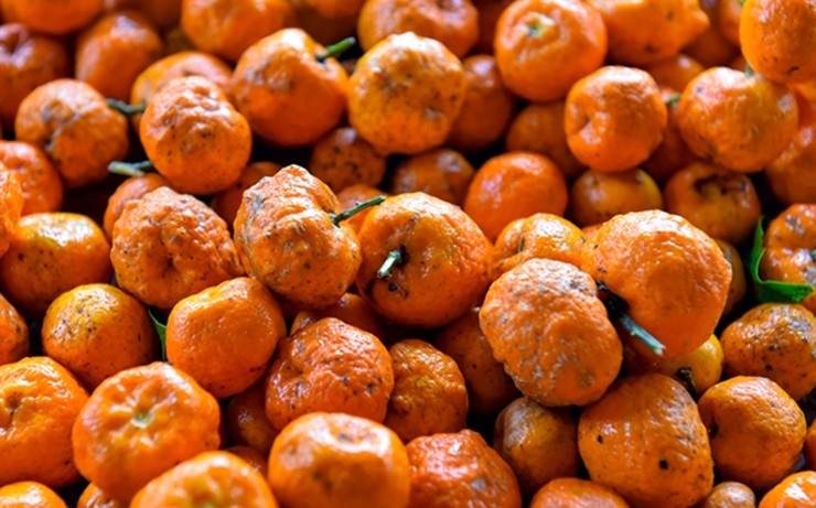 Thanh niên dân tộc thiểu số viết giấc mơ khởi nghiệp