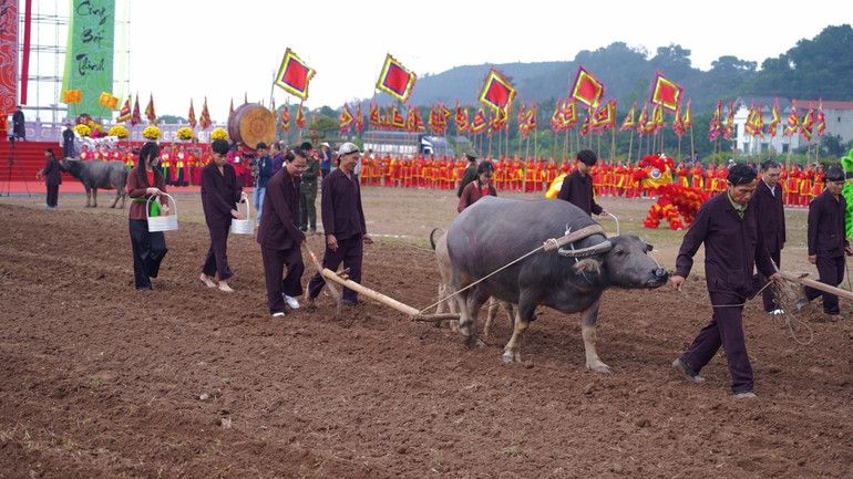 Đồng chí Đặng Xuân Phong, Ủy viên Trung ương Đảng, Bí thư Tỉnh ủy Ninh Bình thực hiện nghi thức cày Tịch điền tại lễ hội. 