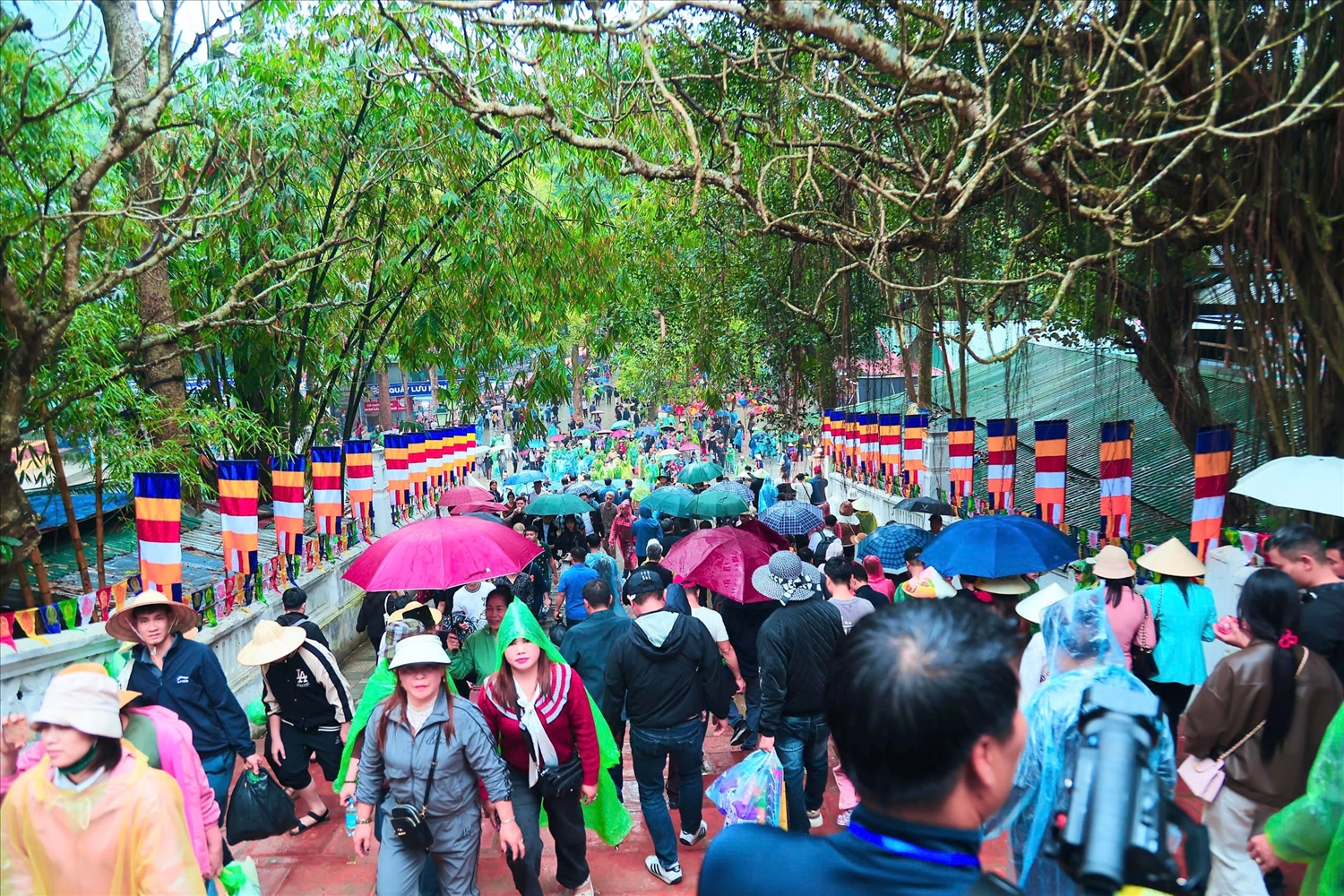 Đông đảo du khách đổ về chùa Hương ngày khai hội