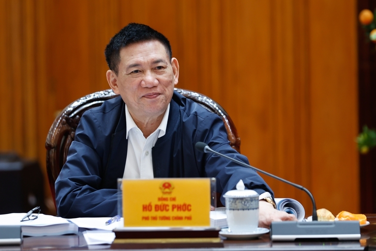 Phó Thủ tướng Hồ Đức Phớc phát biểu tại phiên họp - Ảnh: VGP/Nhật Bắc