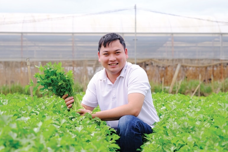 Công ty TNHH Agri Đức Tiến liên kết với nhiều hộ nông dân để sản xuất rau theo tiêu chuẩn VietGAP