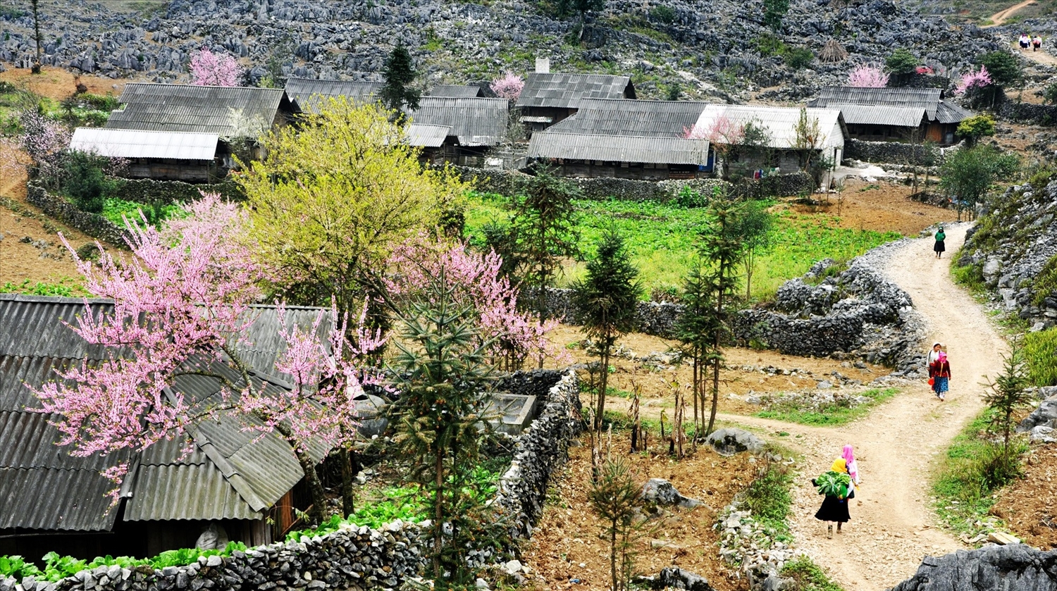 Bản làng người Lô Lô ở tỉnh Tuyên Quang