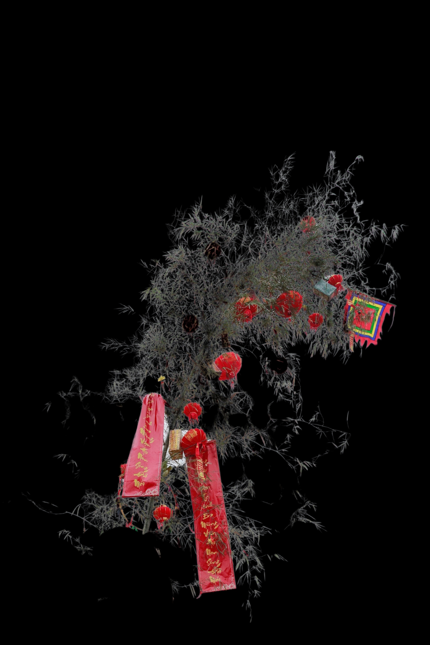 Cây Nêu với nhiều dân tộc trong đại gia đình các dân tộc Việt Nam có một vị trí đặc biệt, không chỉ có ý nghĩa tâm linh là để trừ ma quỷ mà còn là biểu tượng của cây vũ trụ, chuyên chở những ý nghĩa nhân sinh cao đẹp