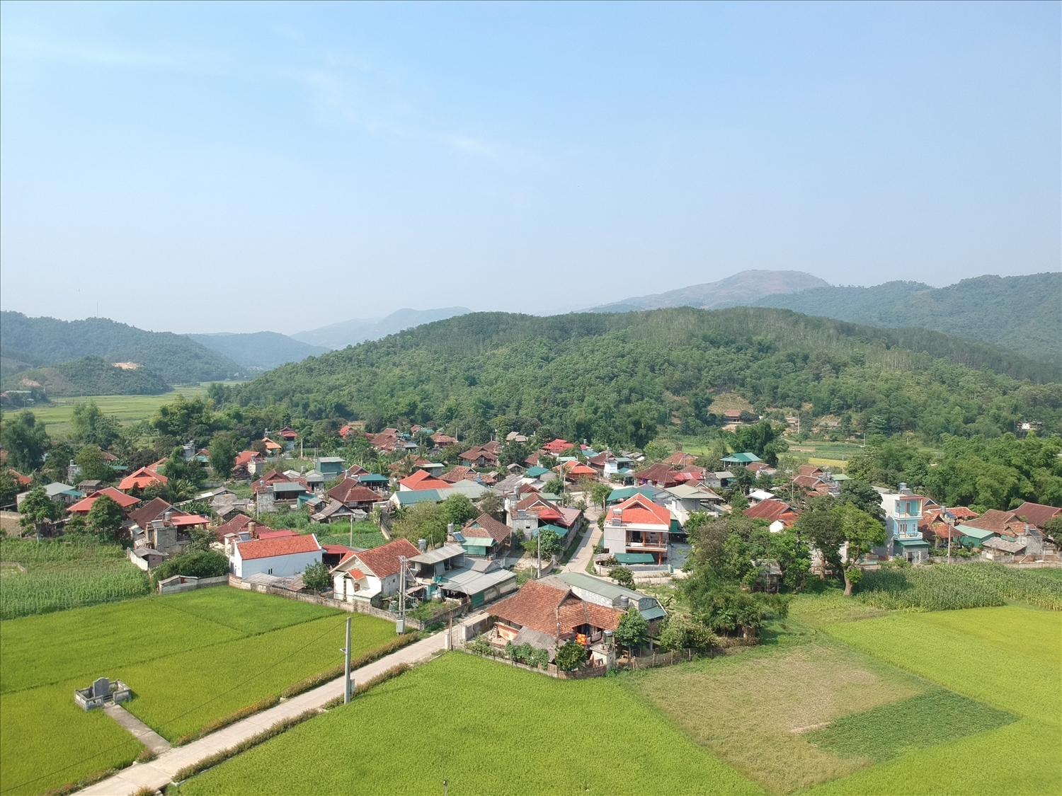 As a border commune, Thanh Nua has gradually escaped poverty and become a shining example of economic development in Dien Bien