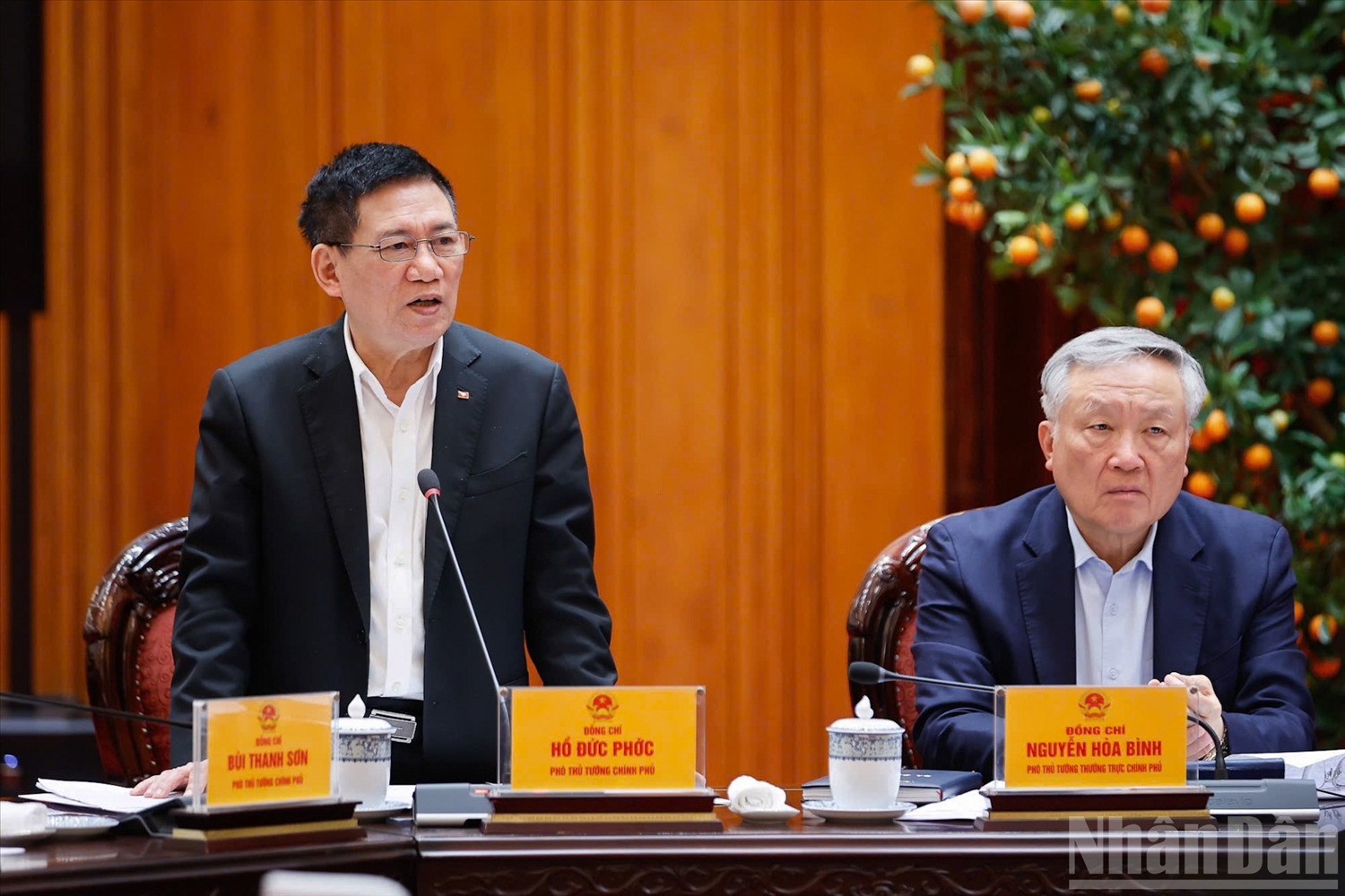 Phó Thủ tướng Hồ Đức Phớc phát biểu tại cuộc họp.