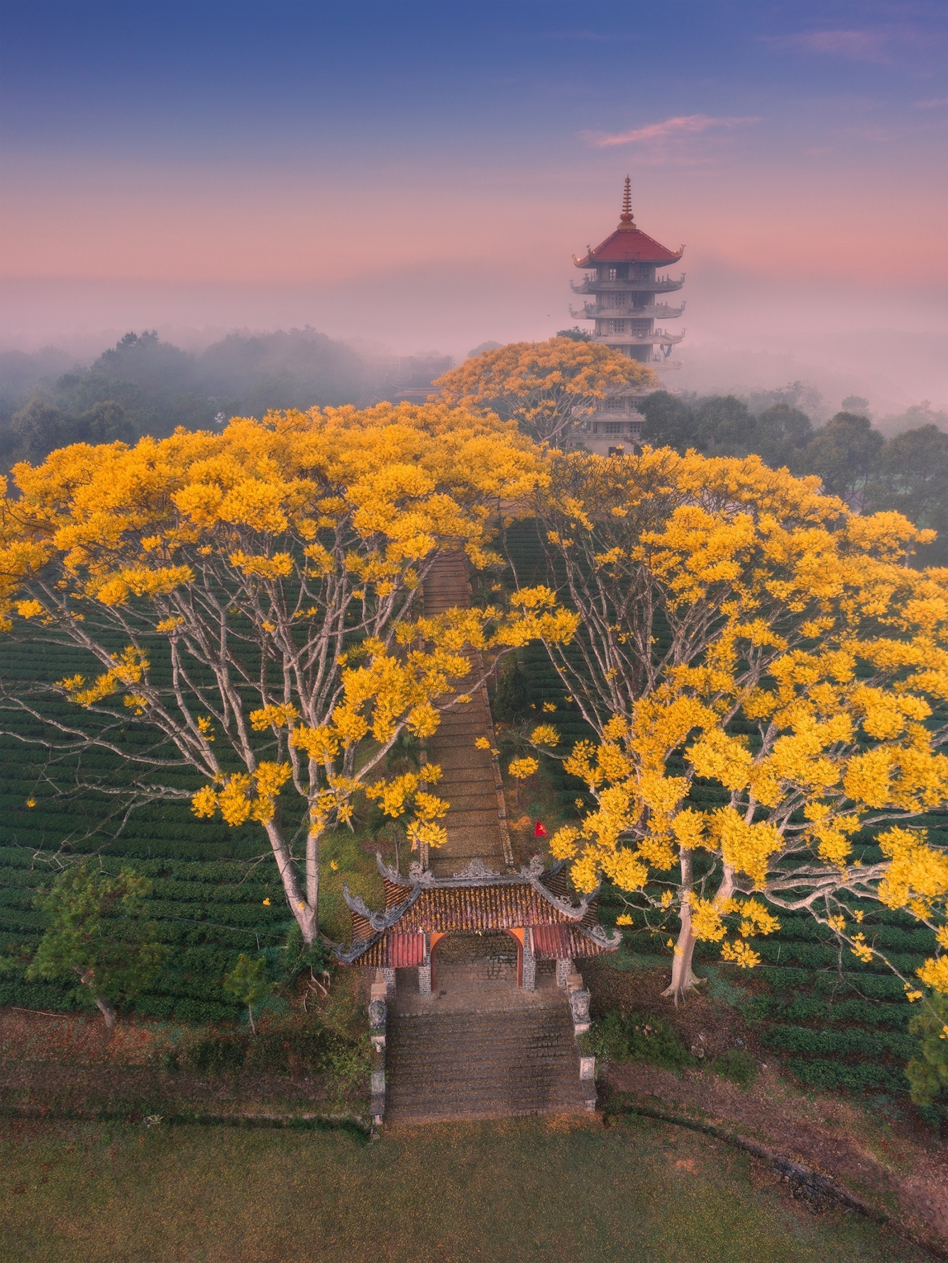 Tu viện Bát Nhã là địa điểm đẹp hấp dẫn nhiều nhiếp ảnh gia tới chụp ảnh mùa phượng vàng. (Ảnh: Cao Kỳ Nhân)