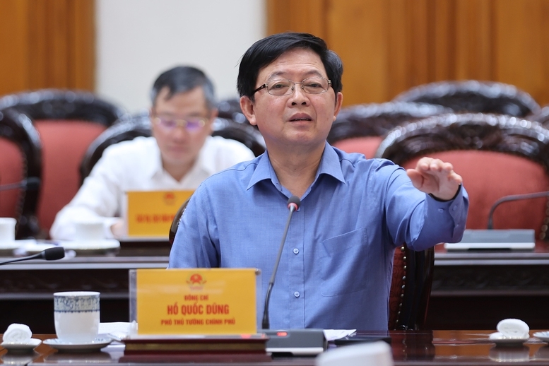 Phó Thủ tướng Chính phủ Hồ Quốc Dũng phát biểu - Ảnh: VGP/Nhật Bắc