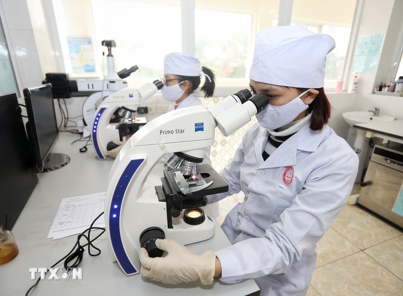 Nghiên cứu khoa học. (Nguồn: TTXVN)