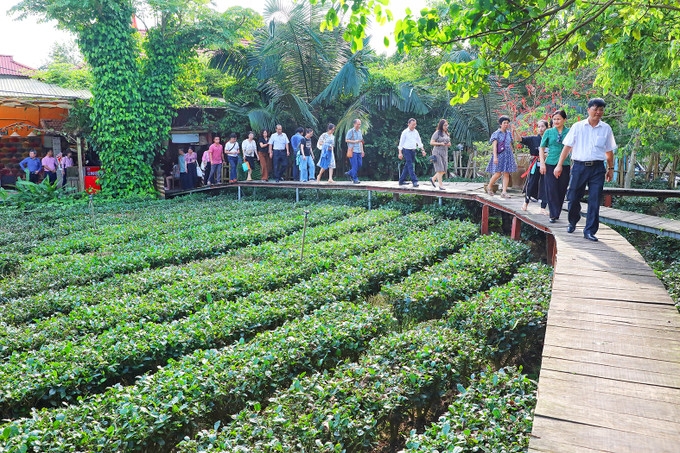 Bản Ven là một không gian sinh thái gần gũi với thiên nhiên, điểm đến tìm hiểu văn hóa truyền thống đặc sắc của người Cao Lan 