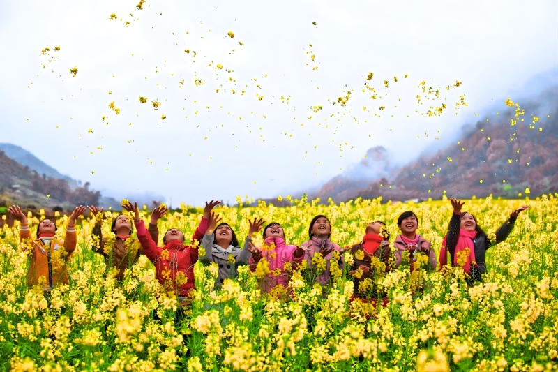 Losting between the season of blooming flowers on the stone plateau