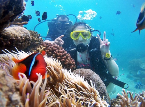 Snorkeling to see coral reefs is an experience not to be missed on a tour of Vinh Hy Bay