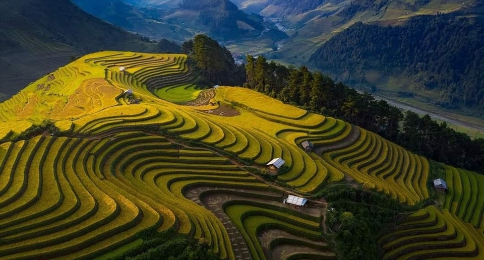 Mù Cang Chải là sự kết hợp hài hòa giữa thiên nhiên và bàn tay con người, một “công trình” không có bản vẽ, nhưng lại đạt đến độ hoàn mỹ hiếm có