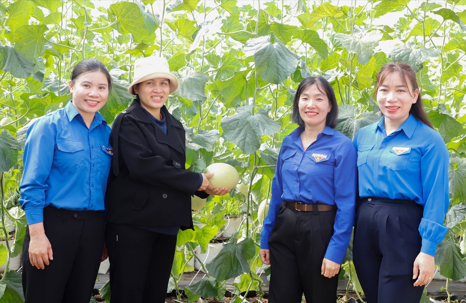 Vườn dưa lưới xanh mướt là thành quả từ sự nỗ lực và quyết tâm khởi nghiệp của nữ thanh niên người Hrê