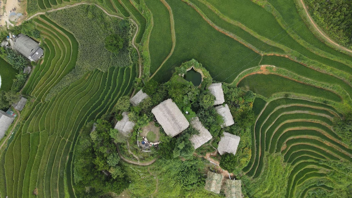Homestay Hello Mù Cang Chải được bao bọc bởi những thửa ruộng bậc thang hùng vĩ