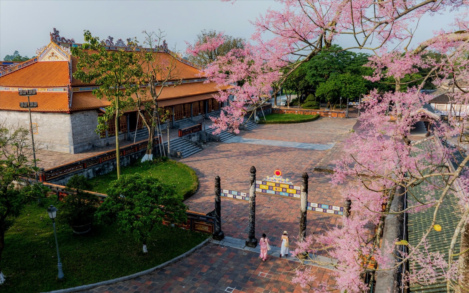 Những ngày đầu hè, khi nắng Huế vừa kịp hong khô lớp rêu phong trên tường thành cũ, cũng là lúc vương giả chi hoa bắt đầu vào mùa.