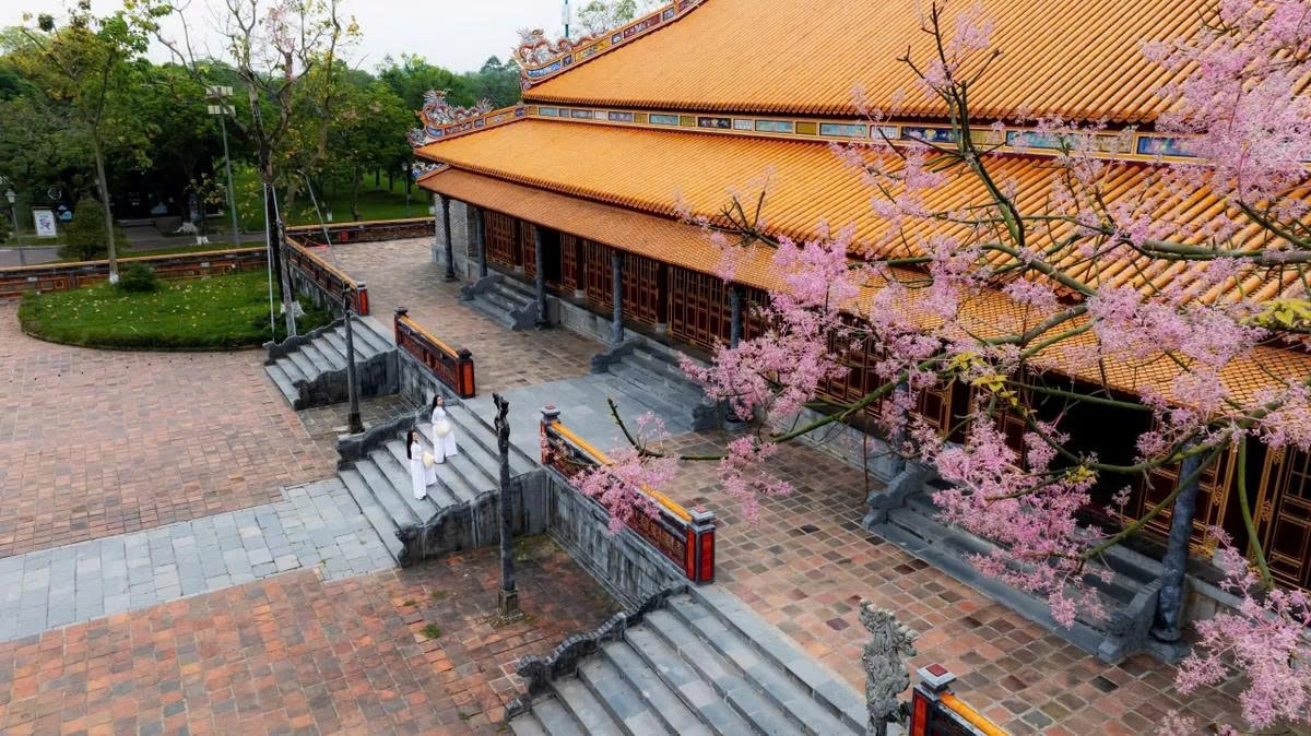 Trong khuôn viên Đại Nội Huế hôm nay, vương giả chi hoa vẫn đứng đó, cao vút và lặng lẽ.