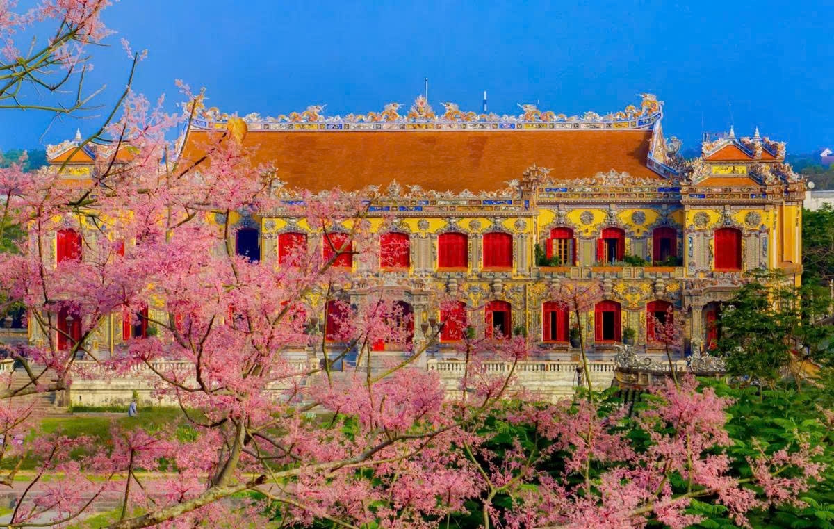 Vào thời triều Nguyễn, vua Minh Mạng đã sai binh lính lên các dãy núi để tìm giống cây này mang về trồng trong cung