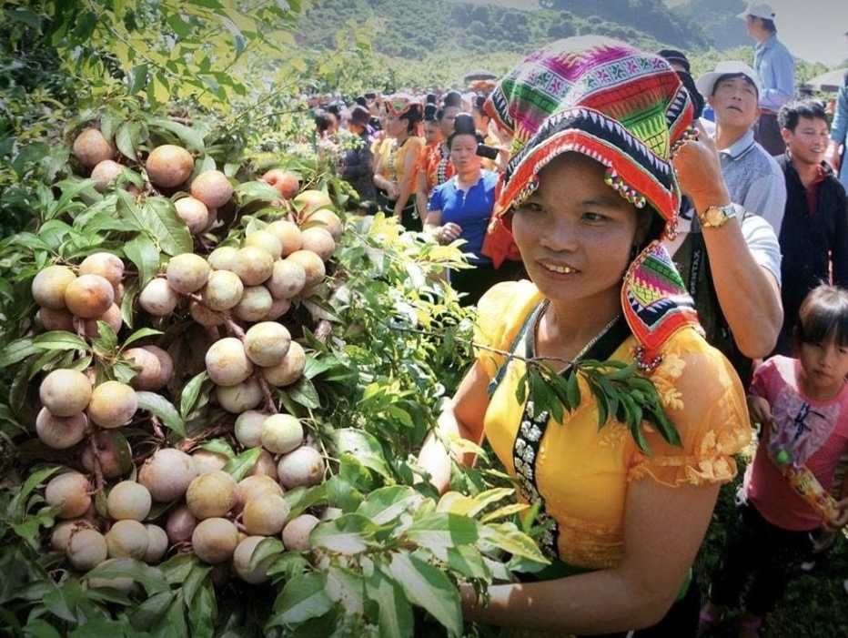 Rực rỡ sắc màu dân tộc trong lễ hội thi hái mận Mộc Châu