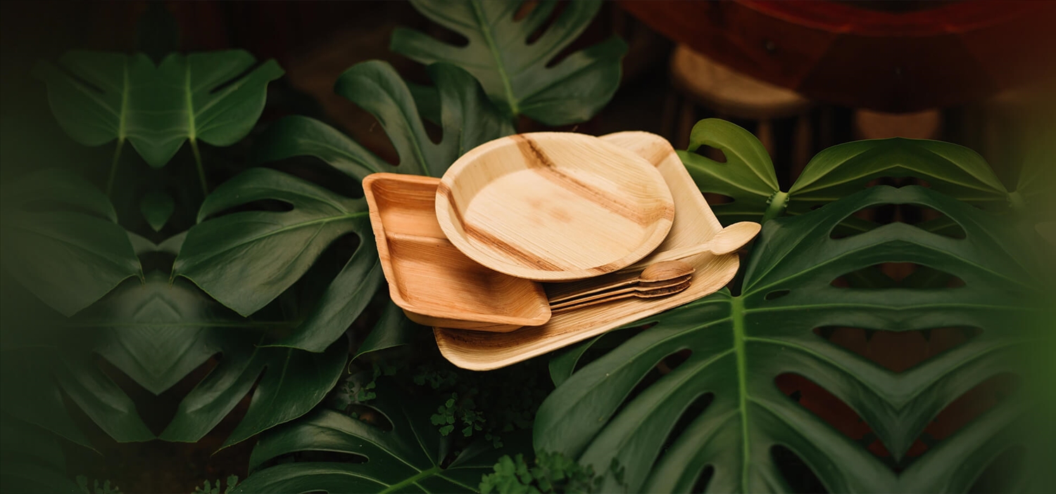 Một số sản phẩm được sản xuất từ mo cau xuất khẩu sang các nước Châu Âu, Mỹ, Nhật Bản...