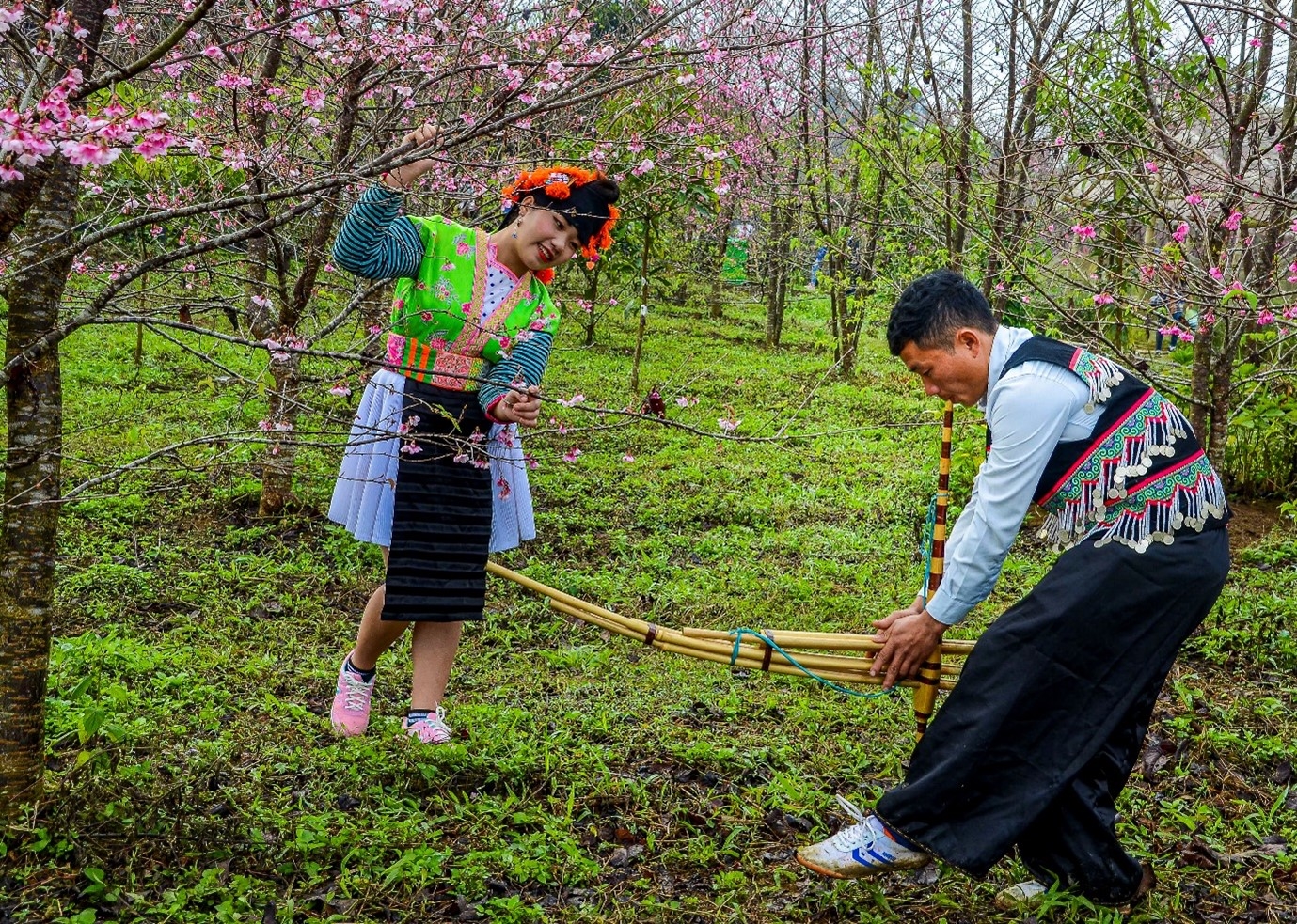 The sound of the Mong flute expresses love in spring
