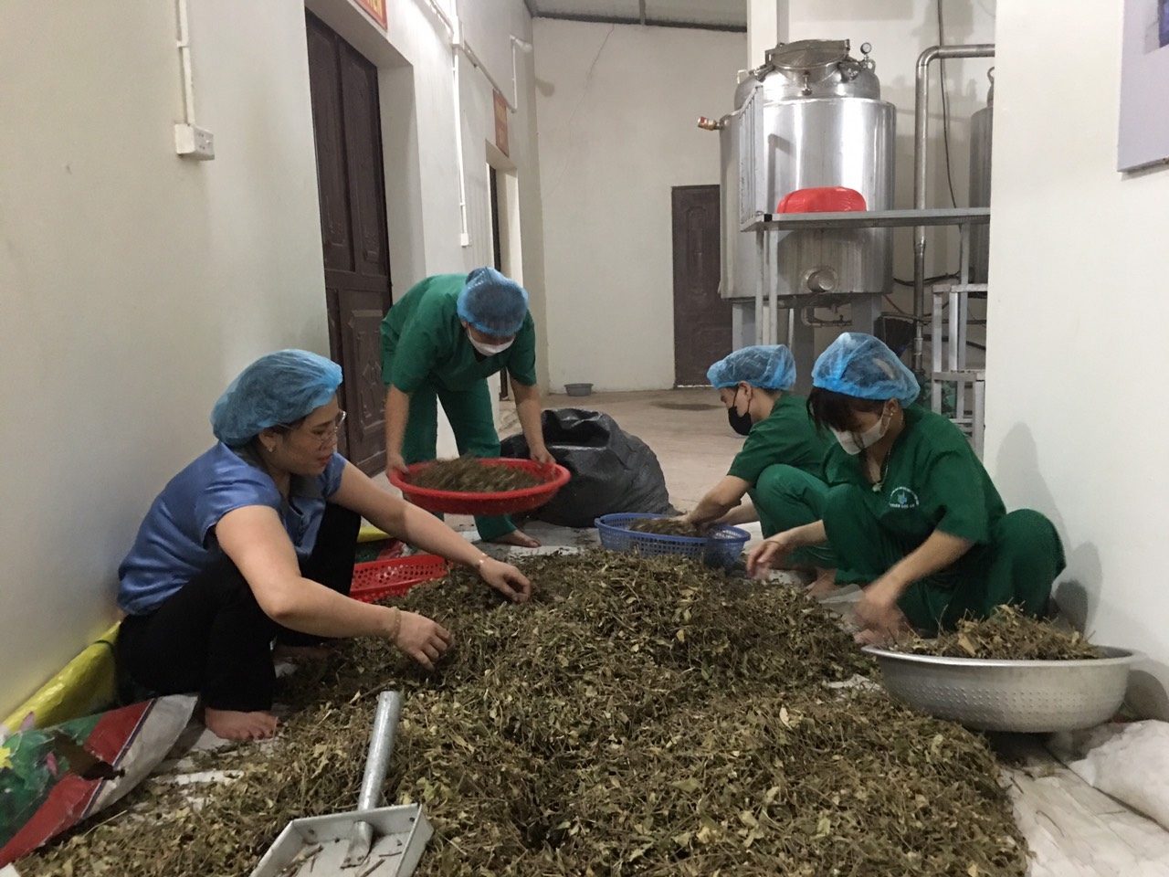 Chị Bùi Thị Xiêm (ngoài cùng bên trái) cùng công nhân phân loại nguyên liệu sản xuất dược liệu (Ảnh Phương Liên)
