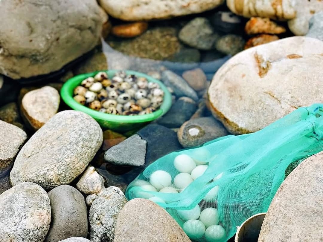 Không cần nồi niêu, chỉ cần thả trứng vào miệng mạch nước nóng từ 5-7 phút là có ngay món trứng luộc chín tới.