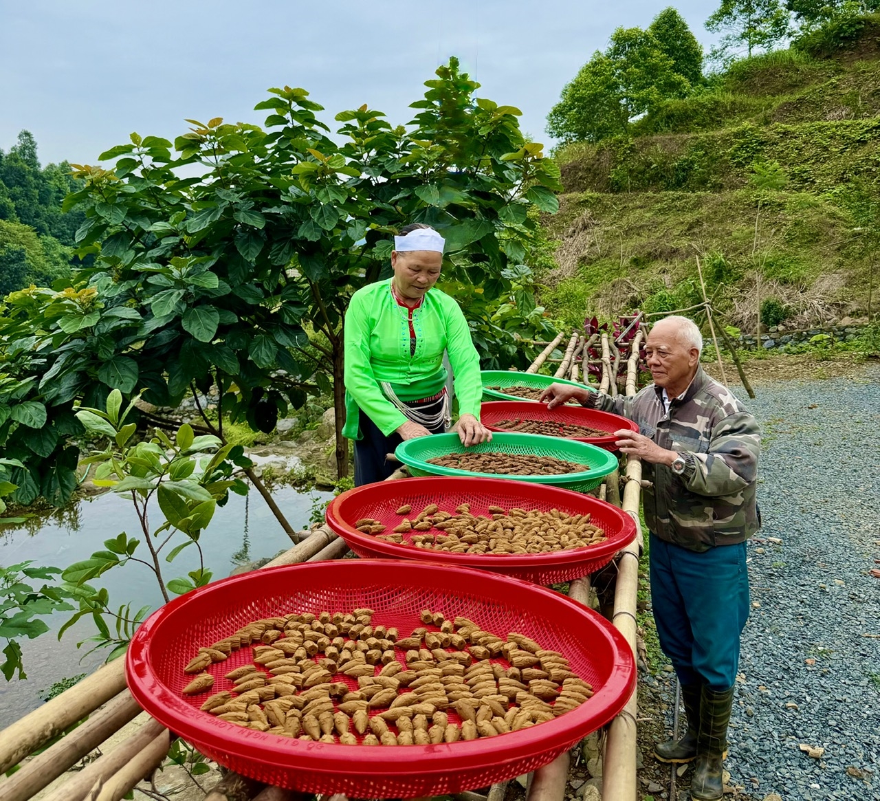 Để lưu giữ hương thơm tự nhiên Bà Đinh Thị Lưu đang hướng dẫn người dân cách phơi và bảo quản trầm hương thủ công