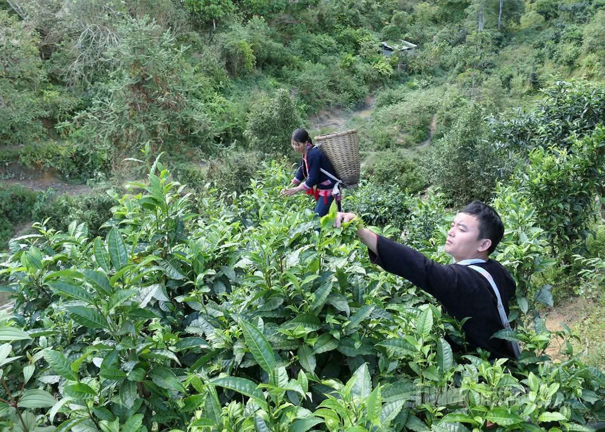 Nói đến phát triển bền vững vùng đồng bào dân tộc thiểu số và miền núi là nói đến vai trò của con người