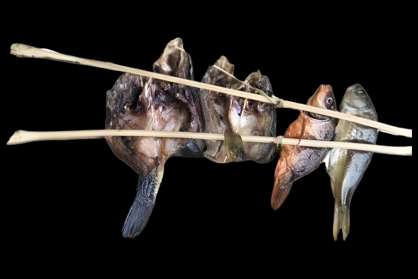 Grilled fish is a common dish at festivals of the Lo Lo people