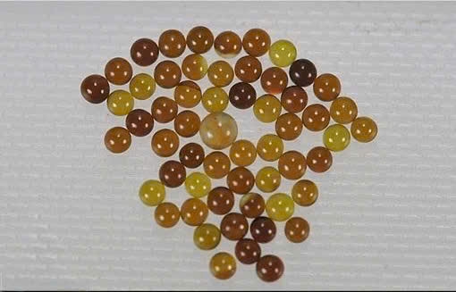 Xá lợi đầu hình cầu vồng của Đức Phật Thích Ca Mâu Ni
