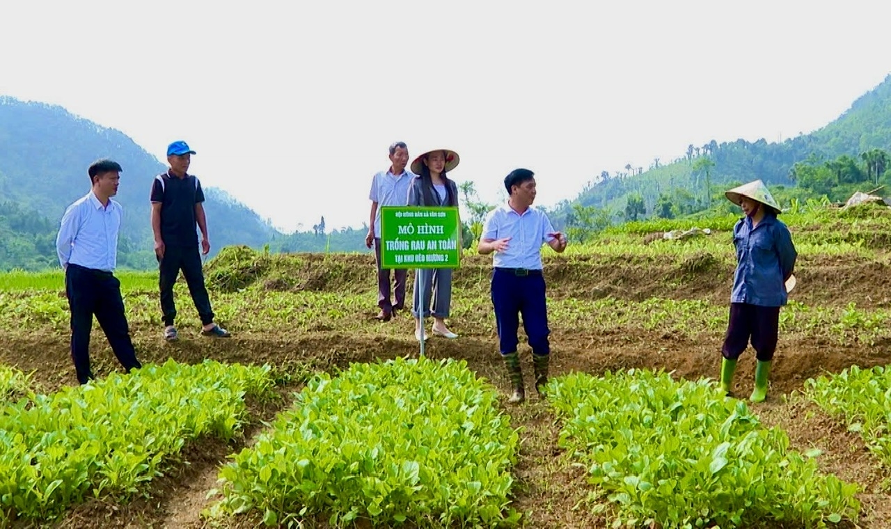 Lãnh đạo và hội viên Hội Nông dân xã Tân Sơn thăm, đánh giá hiệu quả mô hình trồng rau an toàn tại khu Đèo Mương 2