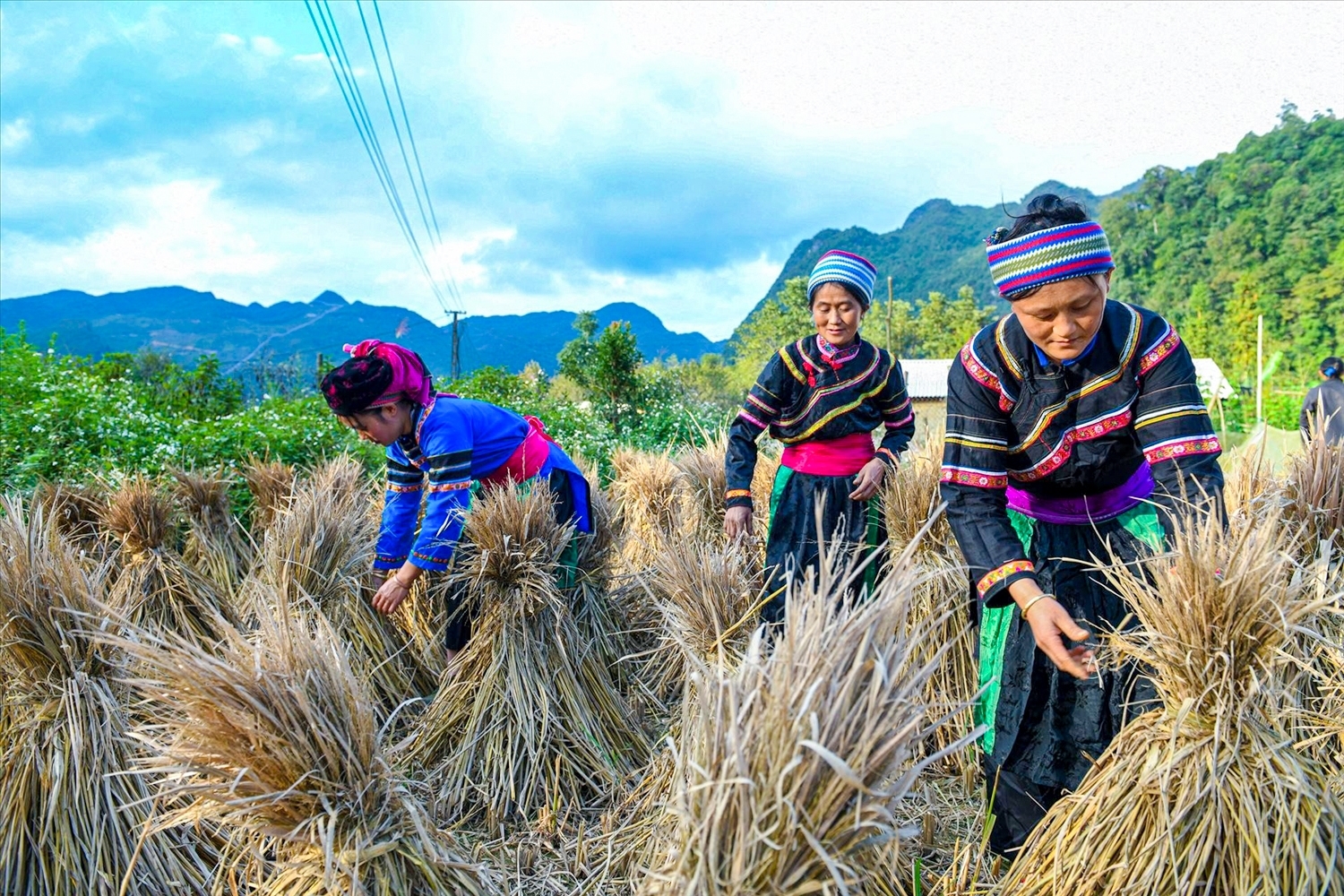 Lao động DTTS đang duy trì tỷ lệ tham gia việc làm cao, song chủ yếu tập trung ở khu vực sản xuất nông lâm nghiệp và thủy sản