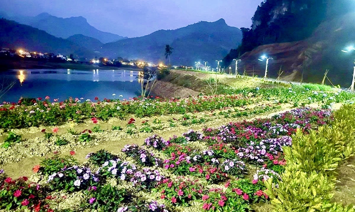 Dưới ánh đèn đêm, những khóm hoa khoe sắc, điểm tô cho bờ Nam sông Gâm thêm thơ mộng và quyến rũ