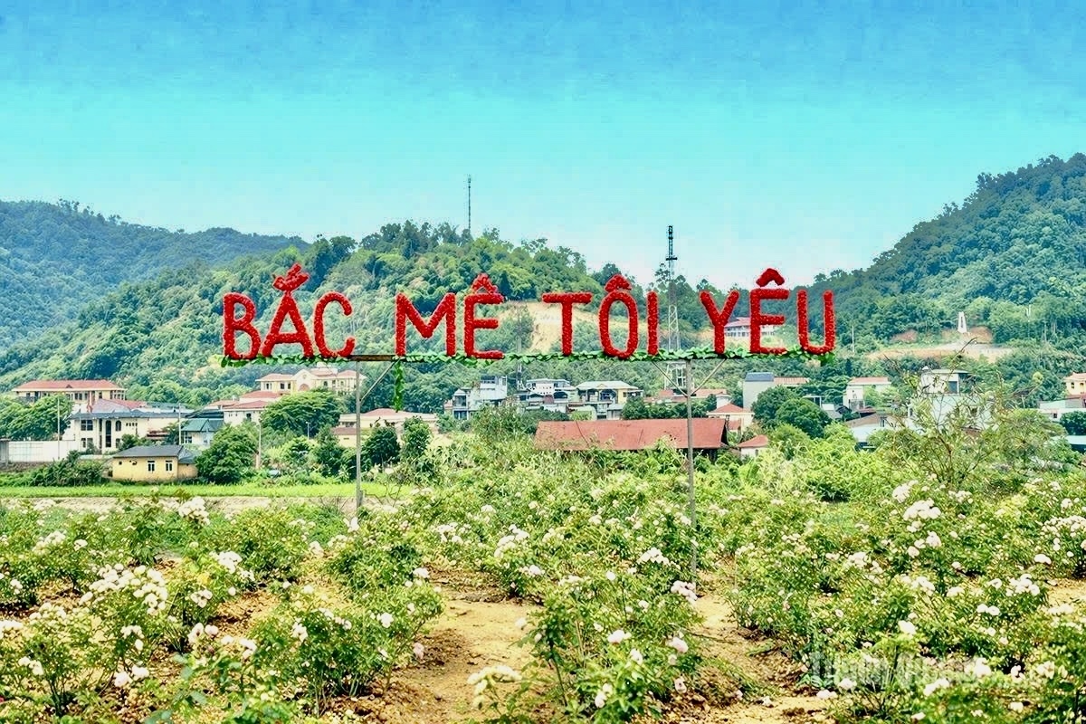 Những luống hoa khoe sắc bên dòng sông Gâm góp phần làm đẹp bản làng của đồng bào Mông ở xã Bắc Mê (tỉnh Tuyên Quang)