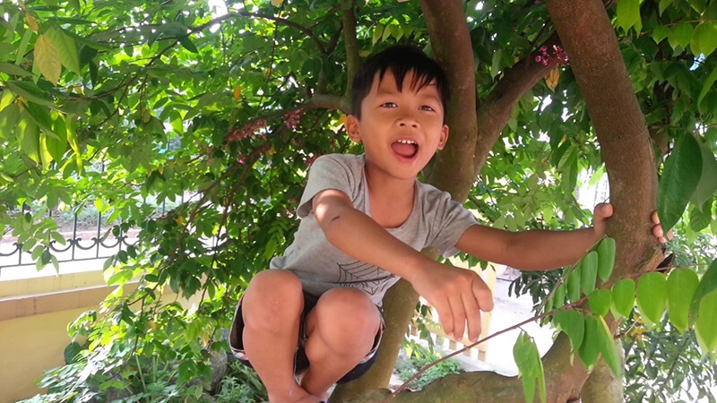 Sự hồn nhiên, trong sáng của các cháu nhỏ trong khi khảo cây khiến cho cuộc đối thoại trở nên vô cùng thú vị