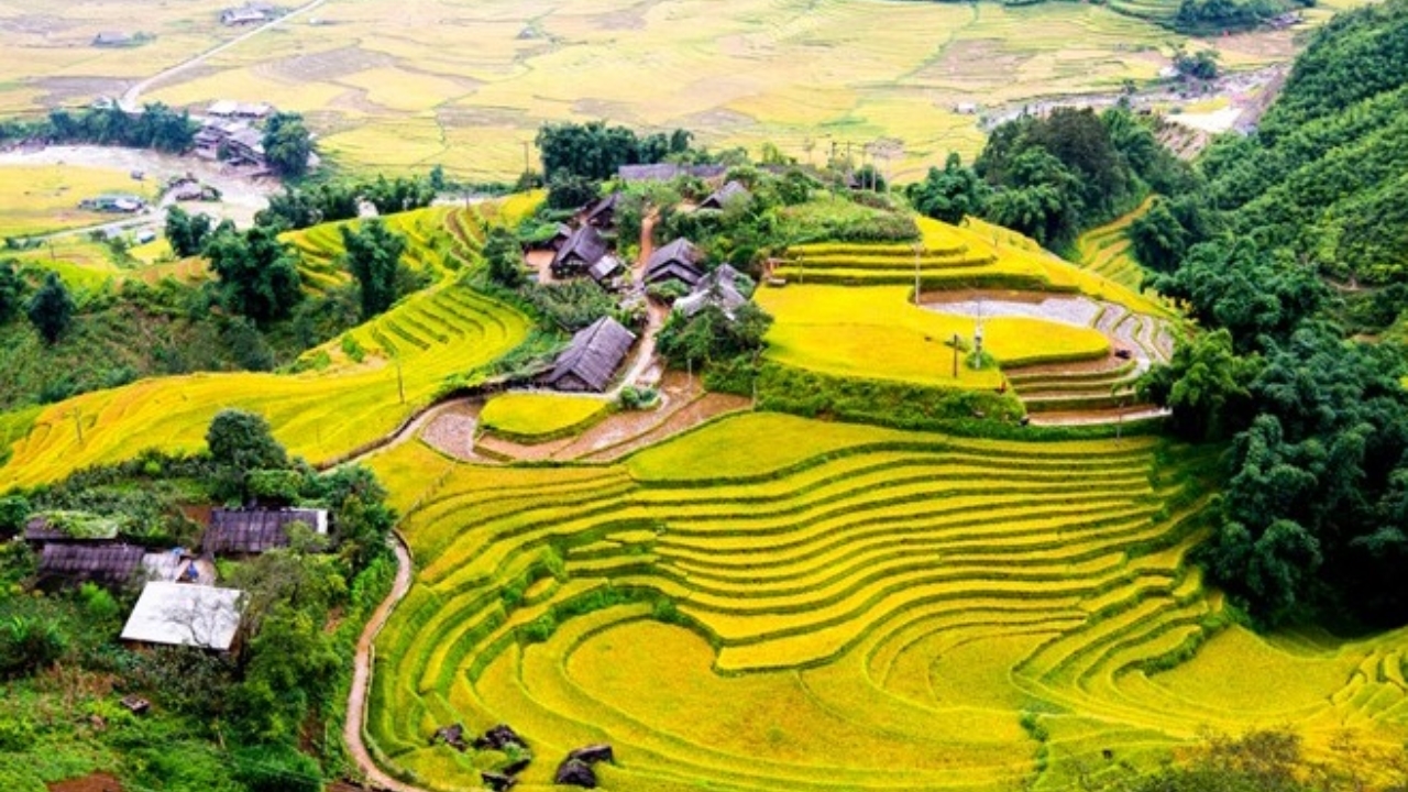 Sa Pa (tỉnh Lào Cai) cũng là nơi sở hữu những thửa ruộng bậc thang tuyệt đẹp ở các xã Tả Van, Lao Chải, Bản Hồ,... Và vừa ngắm ruộng, du khách vừa có thể khám phá văn hóa đặc sắc của đồng bào Mông, Dao, Giáy...