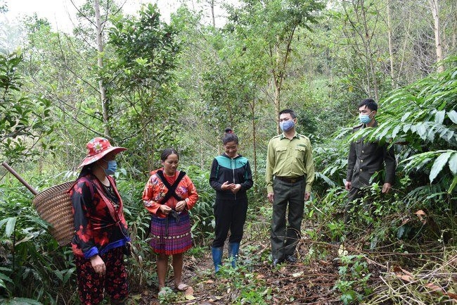 Thông qua các mô hình quản lý rừng cộng đồng tại các thôn bản, công tác bảo vệ, phát triển rừng đã có nhiều chuyển biến tích cực, ý thức người dân được nâng lên; qua đó góp phần hạn chế các vụ vi phạm liên quan đến rừng, thúc đẩy phát triển kinh tế rừng bền vững