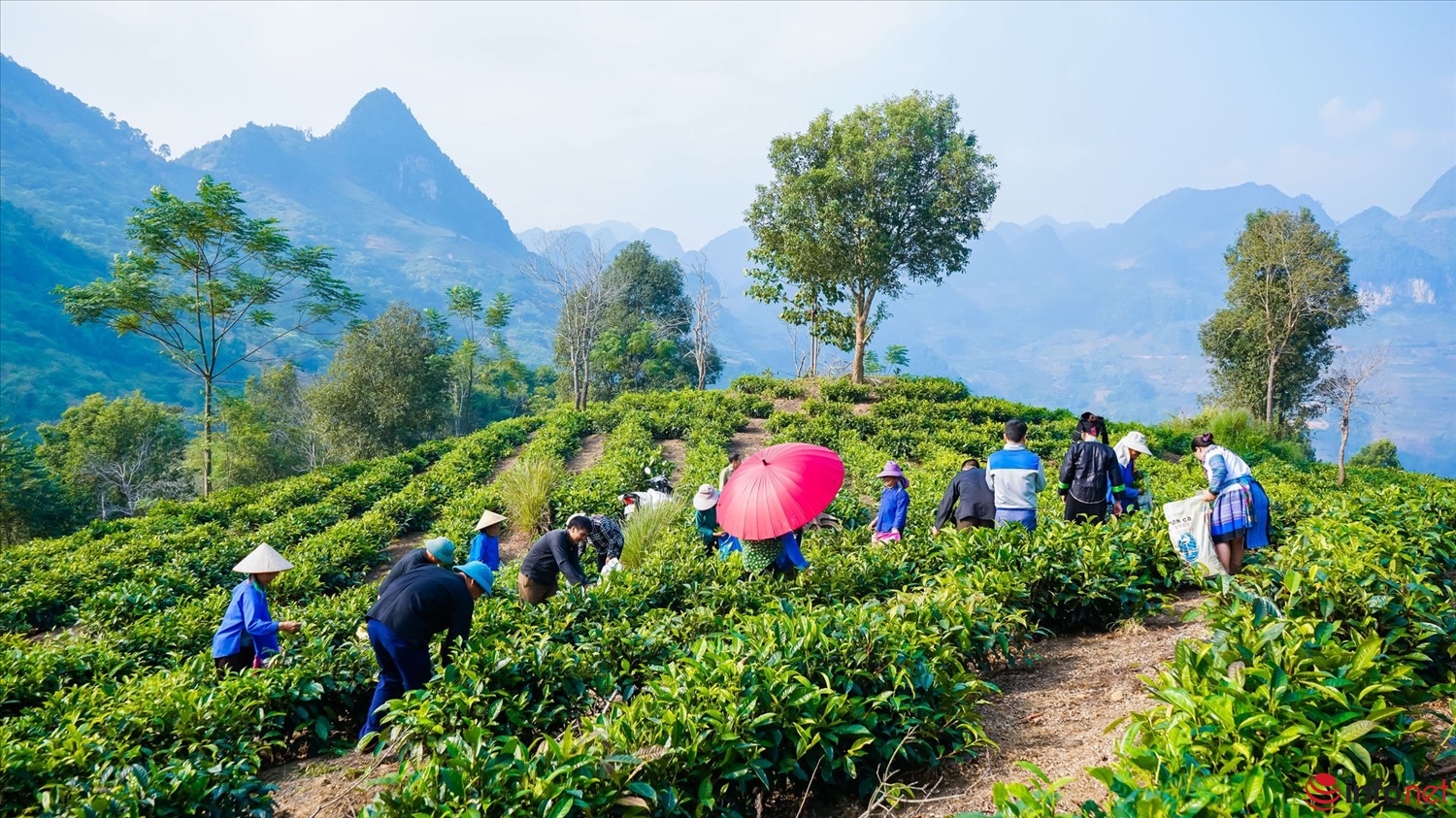 Lào Cai đang hướng tới mục tiêu đến năm 2030, vùng đồng bào dân tộc thiểu số và miền núi phát triển toàn diện, xanh, bền vững và giàu bản sắc văn hóa, trở thành khu vực năng động, có đóng góp ngày càng lớn vào tăng trưởng chung của tỉnh