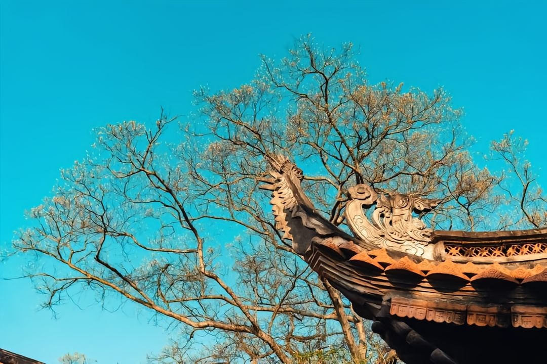 Chùa Đậu - Ngôi cổ tự nghìn năm và bí ẩn hai pho tượng hóa thân bất tử 2