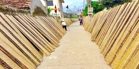 Những phên bánh tráng được phơi dọc các lối đi trên con đường làng
