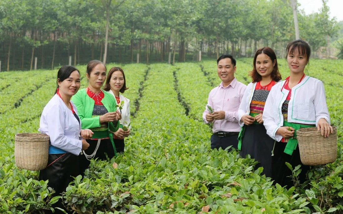 Nghị quyết được ban hành nhằm nâng cao chất lượng cuộc sống, ổn định sinh kế của đồng bào dân tộc thiểu số trên địa bàn Thành phố Hà Nội. 