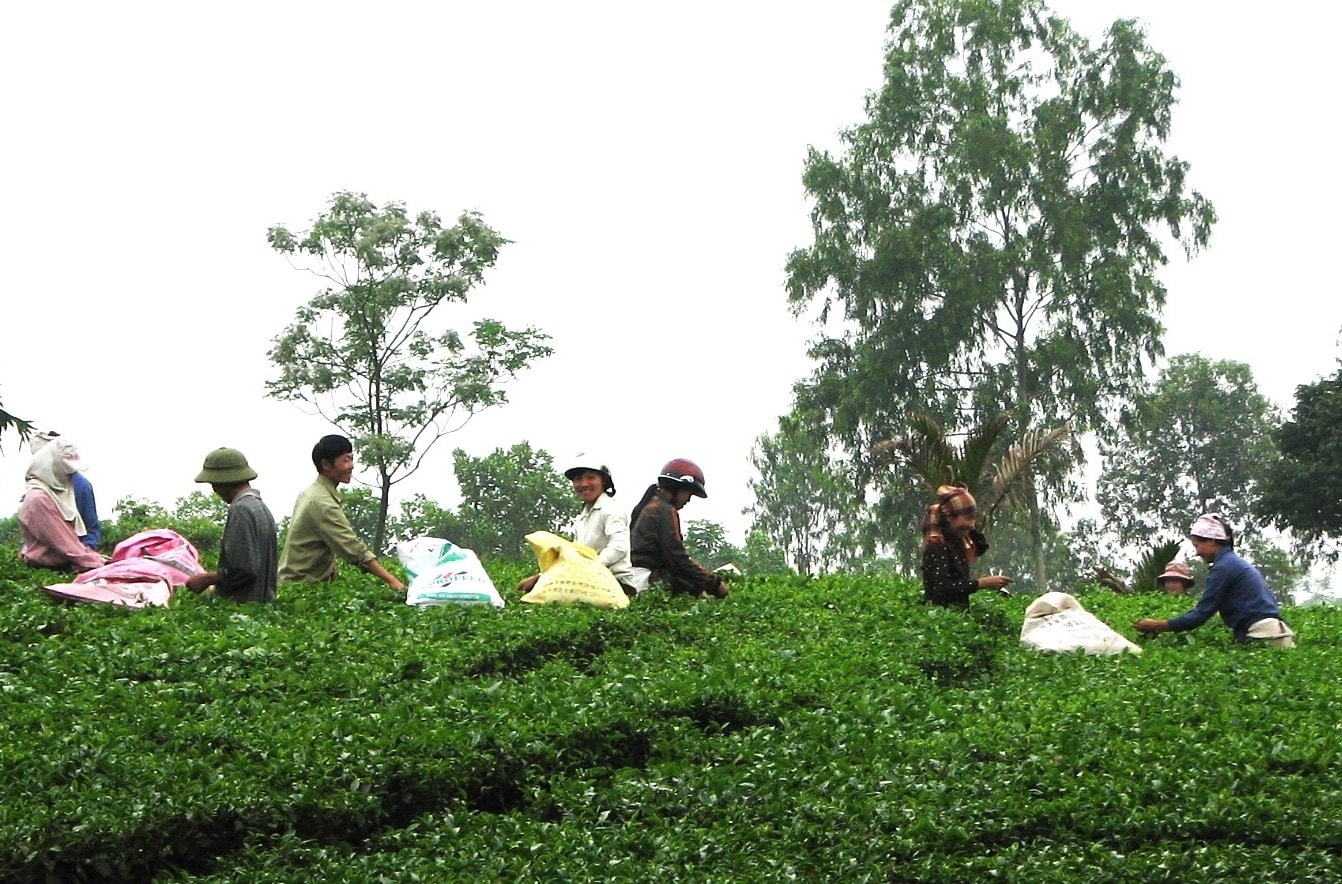 Thành phố Hà Nội đã ban hành nhiều chính sách nhằm tạo điều kiện cho các thôn, xã vùng đồng bào dân tộc thiểu số và miền núi phát triển kinh tế, góp phần nâng cao đời sống vật chất, tinh thần cho đồng bào…