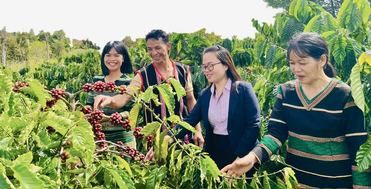 Nguồn vốn tín dụng chính sách góp phần giúp đồng bào dân tộc thiểu số phát triển sinh kế, giảm phụ thuộc vào các hình thức vay nặng lãi và tín dụng đen.