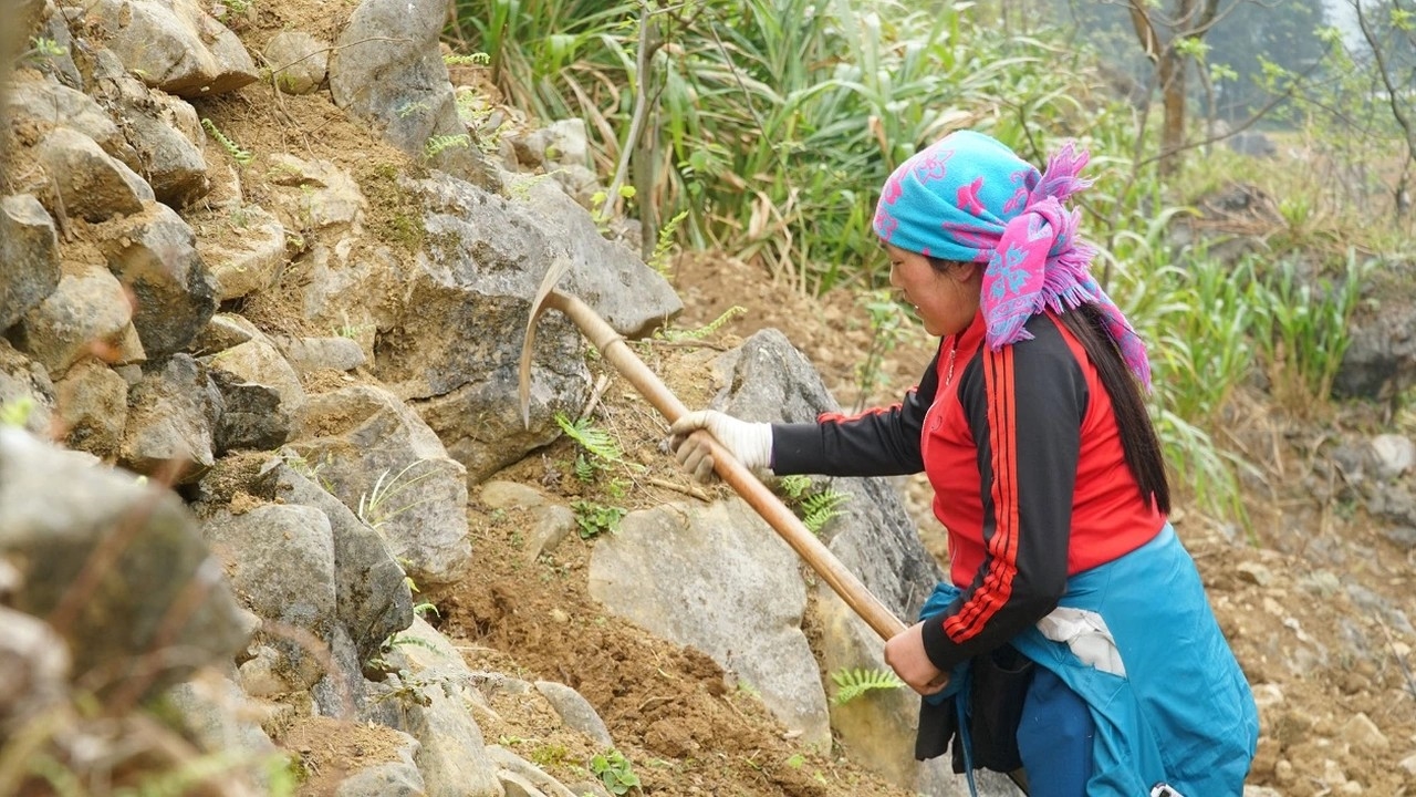 Tri thức và kĩ thuật thổ canh hốc đá trên cao nguyên đá Đồng Văn thể hiện tinh thần sáng tạo, vượt khó và thích nghi với môi trường sống khắc nghiệt của cư dân