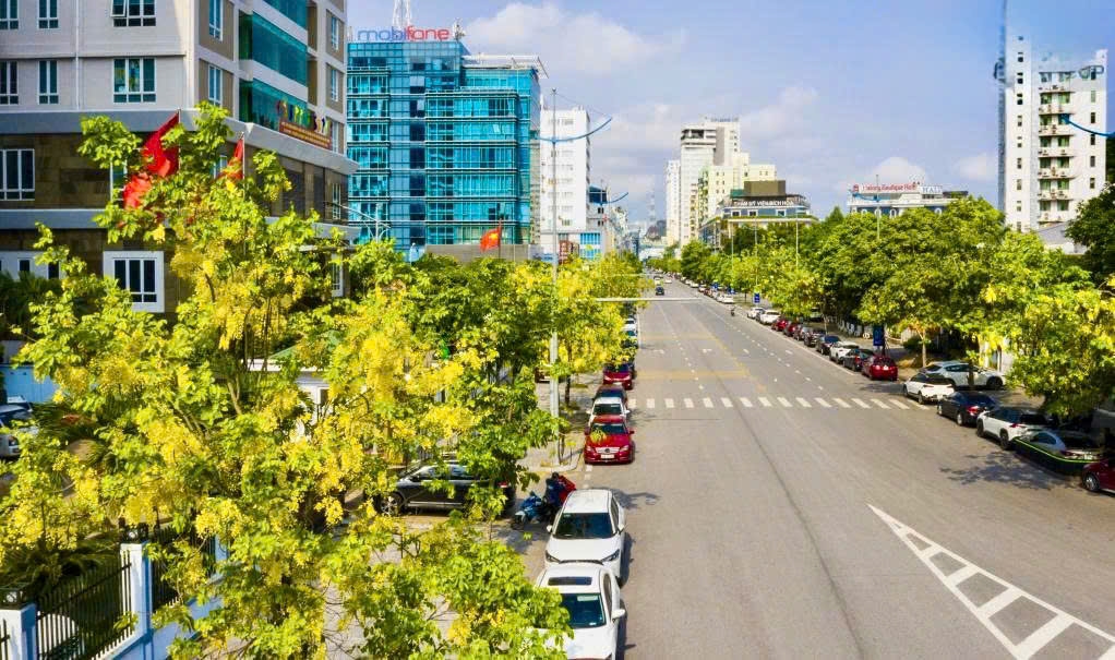 Muồng hoàng yến cũng đang điểm sắc vàng trên các tuyến phố