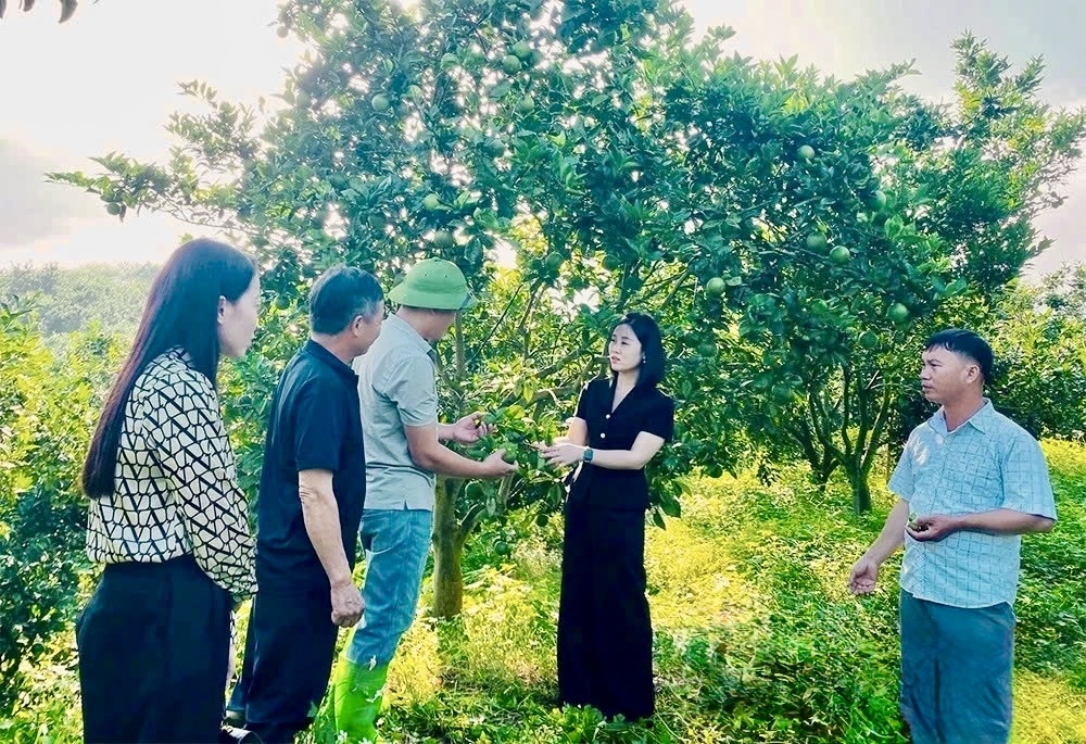 Lãnh đạo xã Lai Đồng thăm, kiểm tra mô hình sản xuất sản phẩm đặc sản địa phương ""Quýt Mường Kịt"