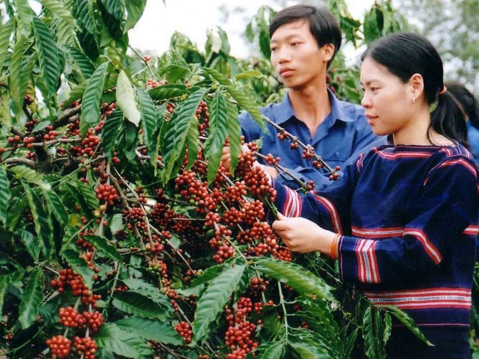 Investing in and supporting ethnic minority communities to develop production and improve poverty reduction efficiency will narrow the regional gap and create social equity