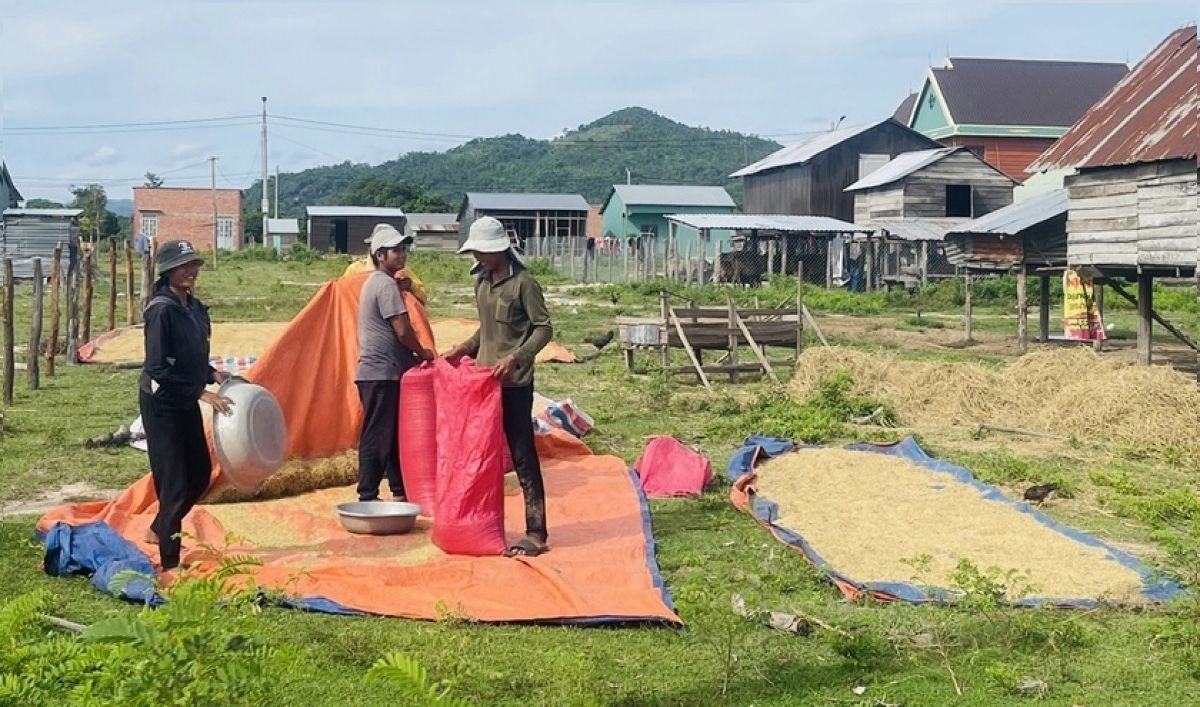 100 hộ đồng bào Gia-rai ở buôn Du, xã Chư Rcăm (nay là xã Ia Rsai) được hỗ trợ tái định cư bằng nguồn vốn của Chương trình Mục tiêu quốc gia phát triển kinh tế-xã hội vùng đồng bào dân tộc thiểu số và miền núi giai đoạn 2021-2025